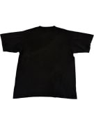 VINTAGE FREEDOM & GLORY AMERICAN EAGLE FLAG ALSTYLE T-SHIRT