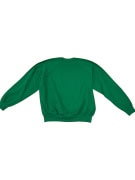 VINTAGE Πράσινο Crewneck Φούτερ Fruit of the Loom Coolwash 1976 L